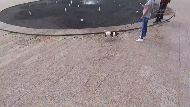 Школьницы Ульяновска с высоты птичьего полета