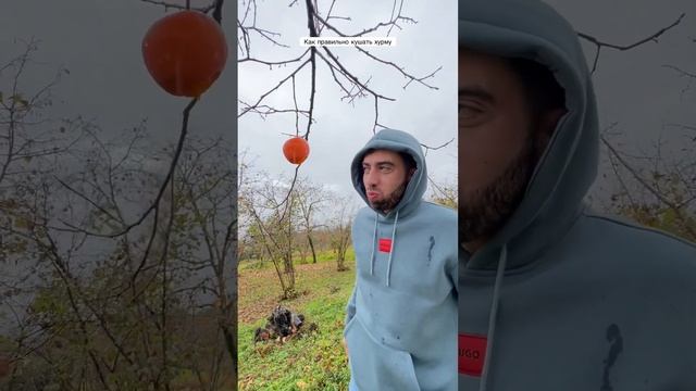 Как правильно кушать хурму смотреть онлайн
