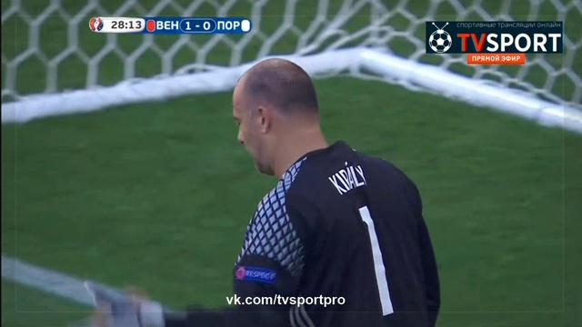 Вeнгрия - Пoртугалия 3-3 (22.06.16)