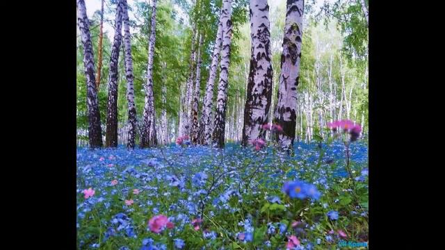 Любовь Нелен  Весна