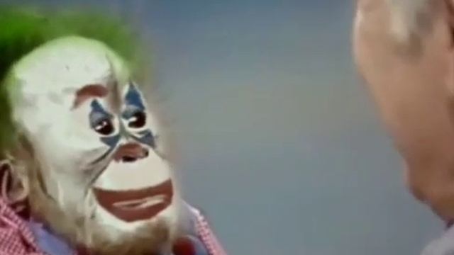 ОБЕЗЬЯНА КЛОУН | МУЖИК РЖЁТ НАД ОБЕЗЬЯНОЙ С ГРИМОМ КЛОУНА | ТИКТОК МОМЕНТ МЕМ смотреть онлайн