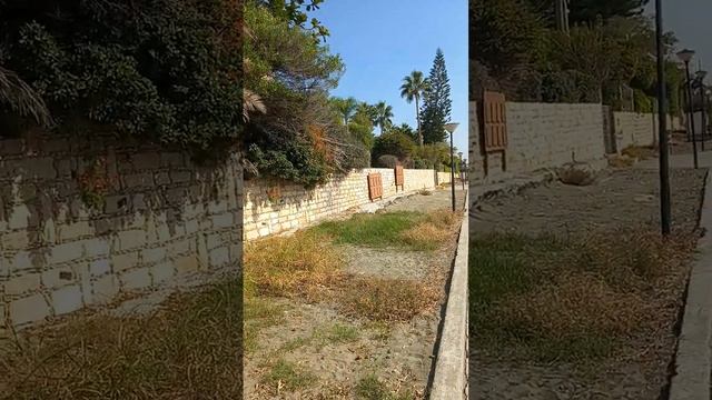 Кипр, Лимасол, Набережная, Средиземное море, пальмы