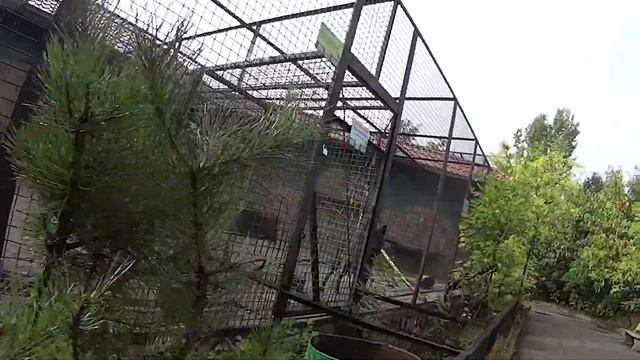 Поездка в Крым)))ч17 Бешенная обезьяна)) смотреть онлайн