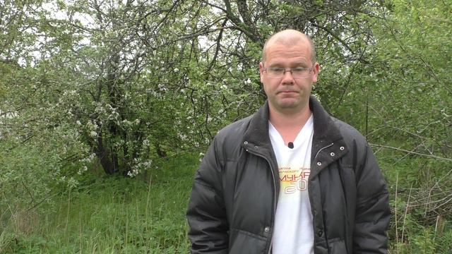 Задержание Платошкина. Товарищ Краснов смотреть онлайн