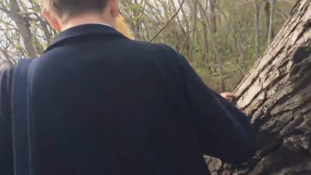 Влог - Шотландия