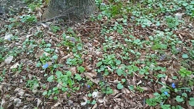 Эко блогер 14 17 лет Захарченко Грайворон смотреть онлайн