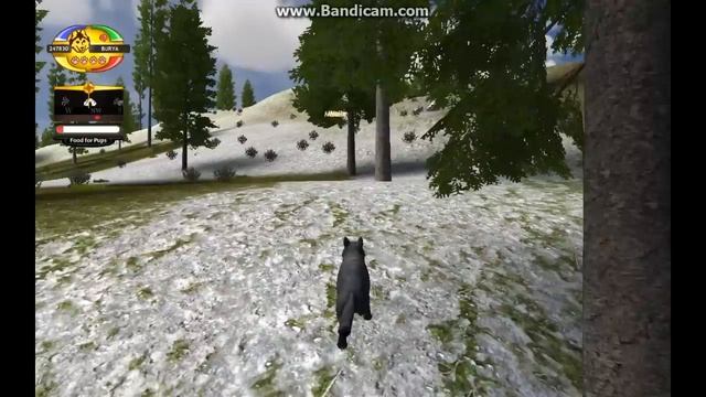 КАК БЫСТРО ПРОЙТИ ИГРУ?~WOLF QUEST 2.7.3