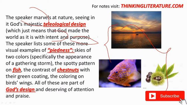 Pied Beauty by Gerard Manley Hopkins summary in Hindi | Thinking Literature | UGC-NET смотреть онлайн