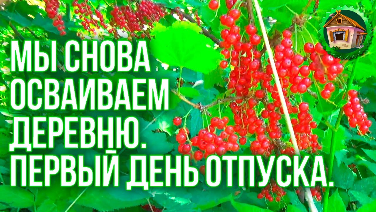 Началось в деревне лето. Начало Июля. Мы снова в Деревне. Лучше Чем в Городе. 82 серия смотреть онлайн