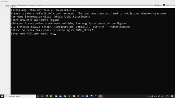 Linux Terminal Installation on Windows 10