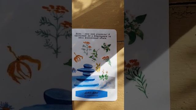 Аромакарты на 13.06- 19.06 смотреть онлайн