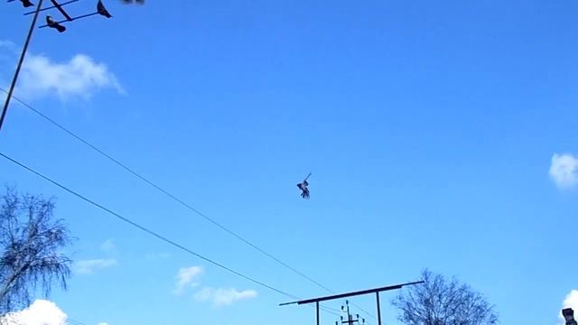 голуби Донбасса г.Родинское открытие племенного сезона 2020г. смотреть онлайн