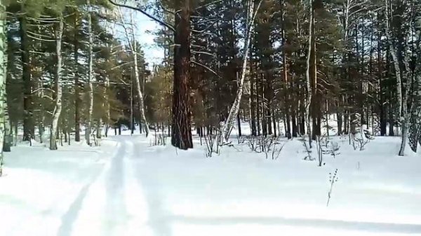 СПК  " ПЕРМСКИЕ ПЧЕЛЫ "  часть 1