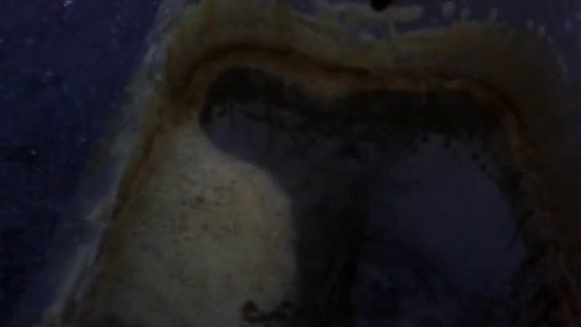 Сравнение трансмиссионного масла и моторного смотреть онлайн