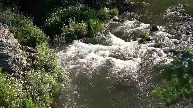 Salmos Uno: El Justo y los Pecadores - Rey David (Int. Armin Valentine) смотреть онлайн