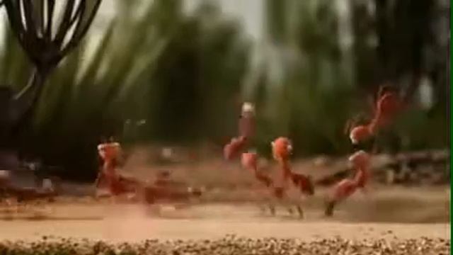 Мультфильм с приколами смотреть онлайн