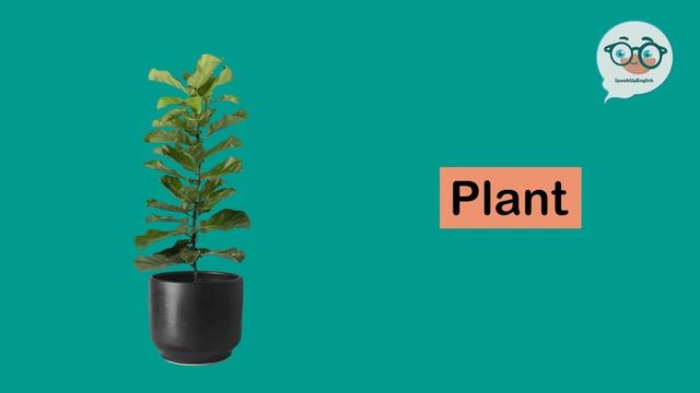 Living Room Vocabulary In English