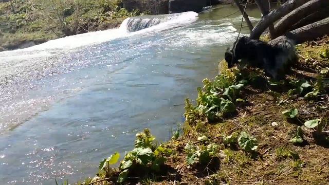 Красоты Сахалина | Чехов | Плотинка-водопад смотреть онлайн