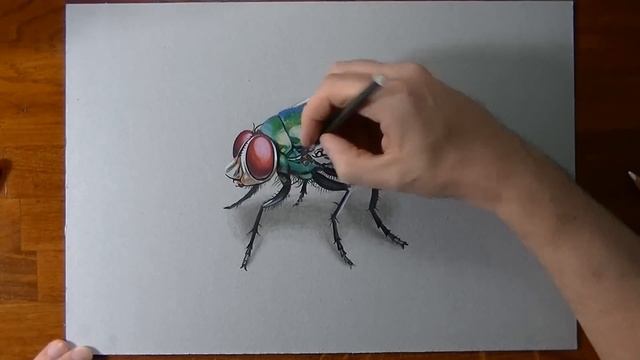 How to draw a 3D fly смотреть онлайн
