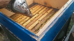 Осенняя подкормка пчел сиропом, с помощью одноразовых п/э пакетов.