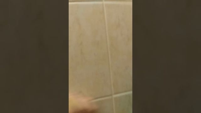 Гринвэй Ульяновск и губка инволвер смотреть онлайн