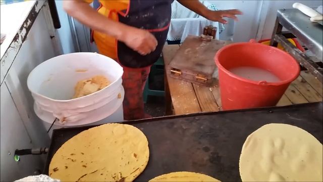 MONSTER Quesadillas!! - AMAZING Barbacoa TACOS - WARNING !!! Mexican Street Food Is ADDICTIVE!!!! смотреть онлайн