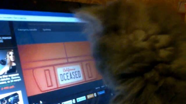 кот и ноут смотреть онлайн