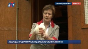 Миф о породе. "Подмосковный белый гигант" и "Танюшкин бройлерный фараон".