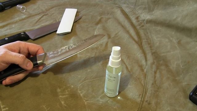 Масло камелии Silkia Camellia Oil