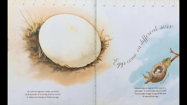 Read Aloud "An Egg Is Quiet" смотреть онлайн