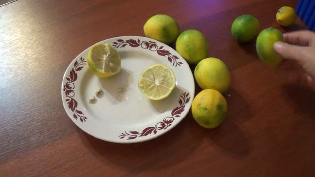 Пробую домашний лимон Лиза и кумкват. смотреть онлайн