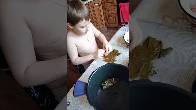 долма в мультиварке смотреть онлайн