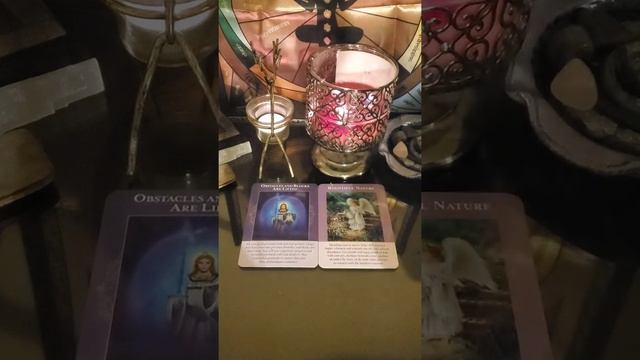 Finance Oracle & Tarot Quick Energy Check in #tarotcardreading #oraclecardreading смотреть онлайн