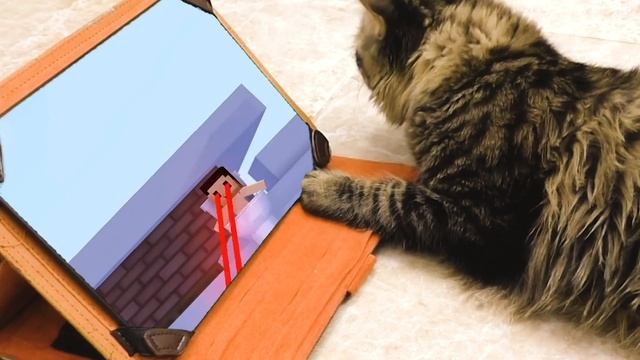 Cat reaction to Happy Cat vs Skibidi Toilet | Whiny Power смотреть онлайн