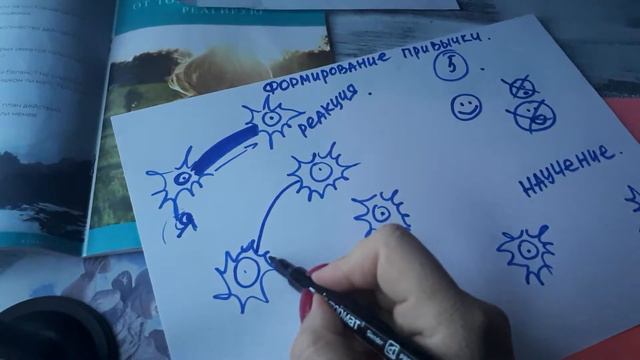 Формирование привычки. Взгляд изнутри.