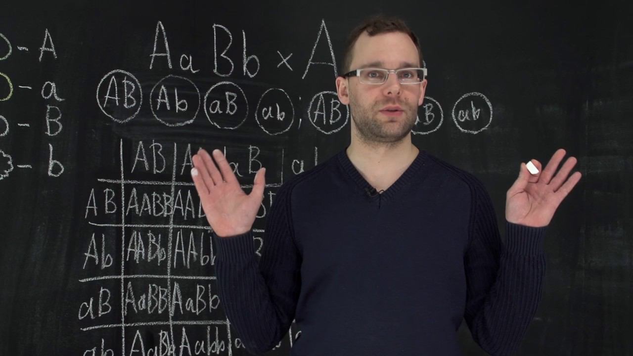 3.3 Третий закон Менделя. Естествознание - 10 - 11 класс смотреть онлайн