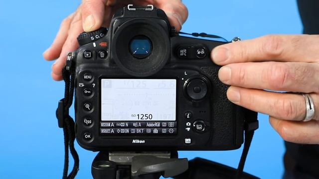 Nikon D810 смотреть онлайн