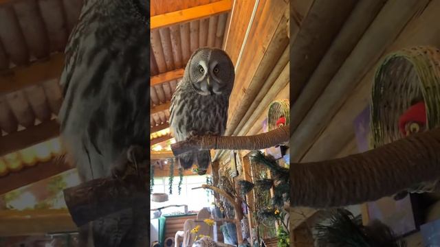 Кто успел, тот и съел ? смотреть онлайн