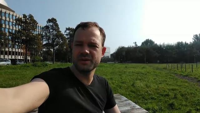 Develop cross platform app with react native or flutter - Best Mobile Apps service смотреть онлайн