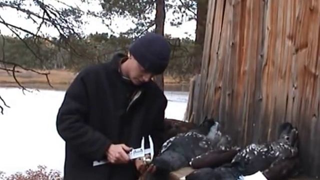 Осенние будни промысла / охота в Сибири смотреть онлайн