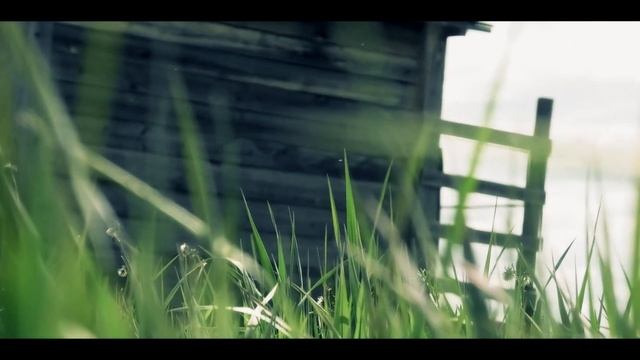 Благослови душе моя, Господа! смотреть онлайн