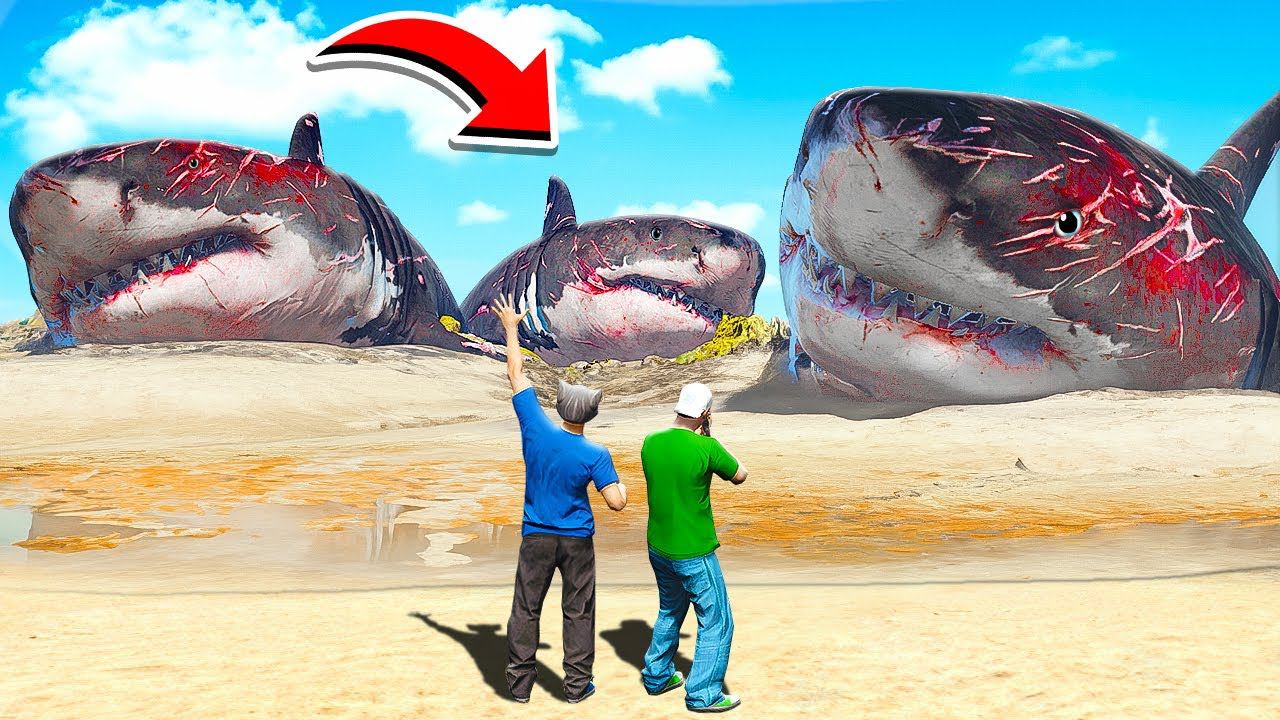 УДАЛИЛИ ВСЮ ВОДУ И НАШЛИ ТРЁХ ОГРОМНЫХ МЕГАЛОДОНОВ! САМАЯ БОЛЬШАЯ АКУЛА ГТА 5 МОДЫ МУРКА смотреть онлайн