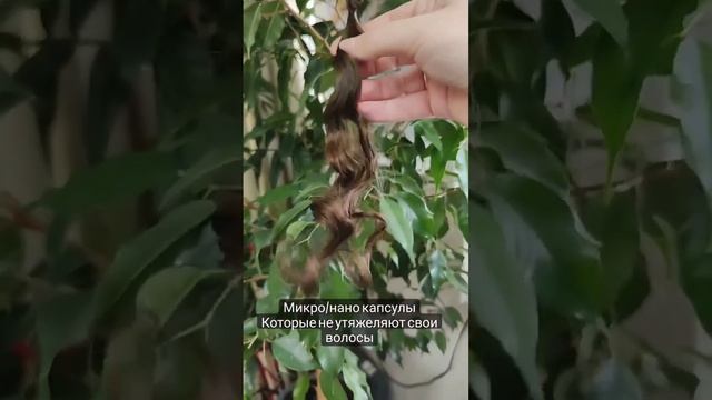 Наращивание волос в Нижнем Новгороде, микро нано капсулы, без вреда своим волосам смотреть онлайн