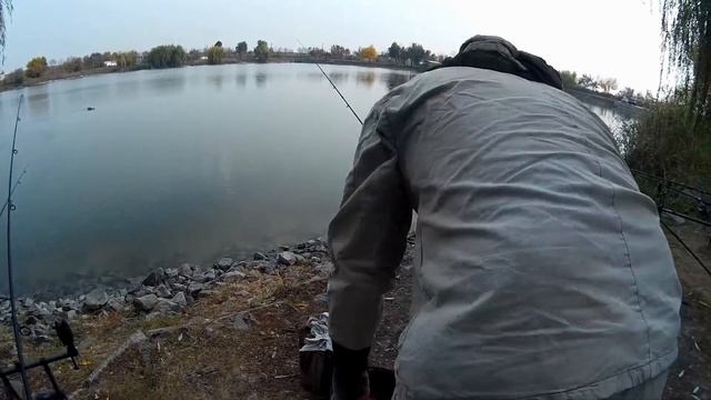 Ловля карпа в октябре на спортивном водоеме Рыбацкий хутор. Первый опыт. Рыбалка осенью смотреть онлайн