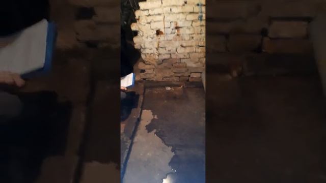 кск исток усть-каменогорск 12.10.21