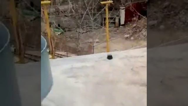 Монтаж молниезащиты, Молниезащита, заземление смотреть онлайн