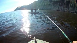 Ловля судака в отвес.  Река Волга.