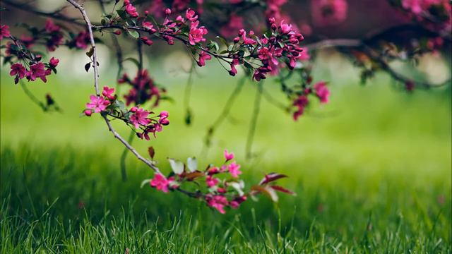 Piano inspiring | Музыка без авторских прав смотреть онлайн