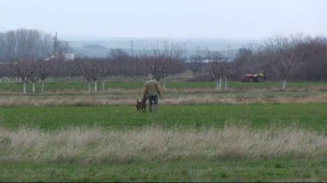 547. Serbia. (53) 10 ч. 53 мин. курцхаар смотреть онлайн