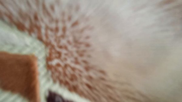 VID_20230606_130120.mp4